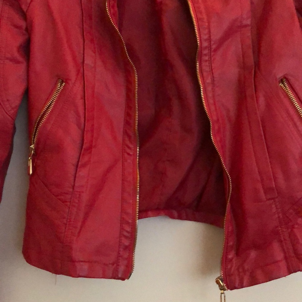 Jacket - Picture 4 of 4